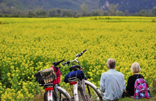2015年全国休闲农业与乡村旅游示范县、示范点认定名单公示
