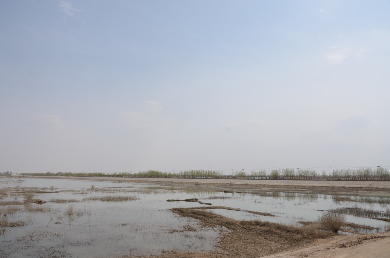 1599537142290421.jpg 02.jpg