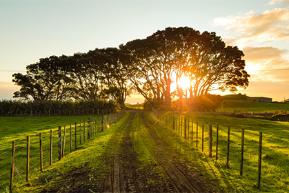 文化和旅游部与农行联手促进乡村旅游高质量发展