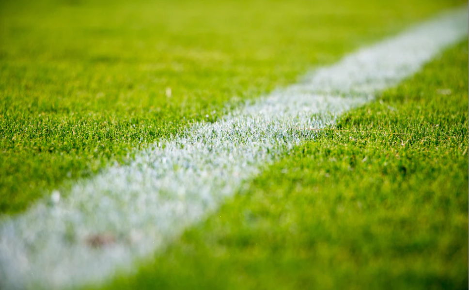 习近平：加快建设京张体育文化旅游带