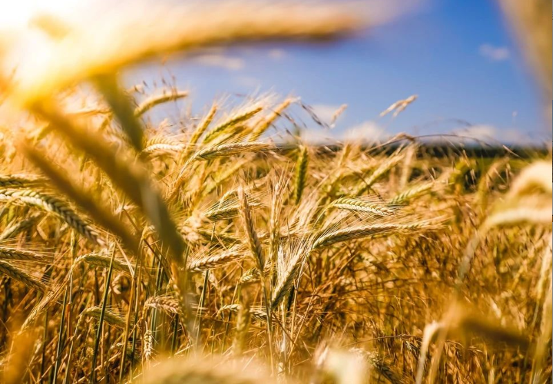 抓紧！2021年农业产业融合发展项目申报已开始