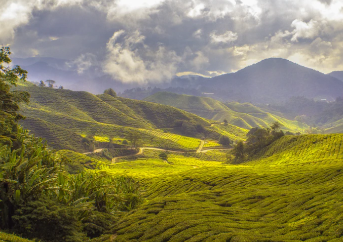 文化和旅游部、国家发展改革委联合推出300条乡村旅游学习体验线路