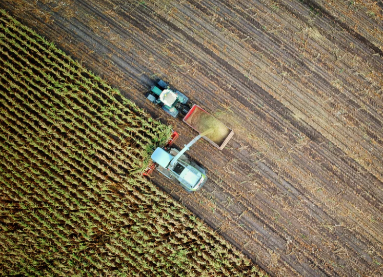 财政部：开展国家级田园综合体建设试点（附通知）
