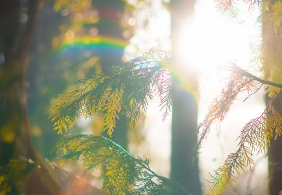 文化和旅游部办公厅关于进一步加强政策宣传落实支持文化和旅游企业发展的通知