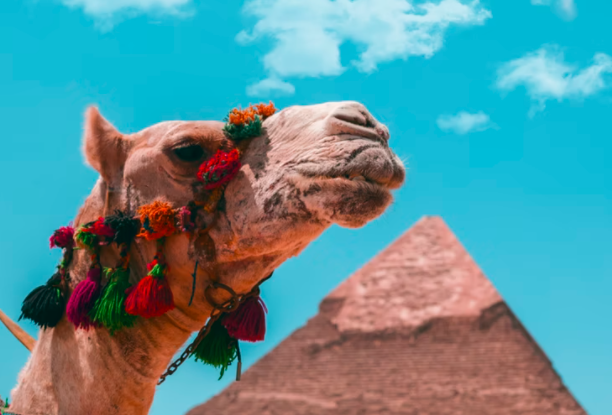 关于2021-2023年度“中国民间文化艺术之乡”拟命名名单的公示！