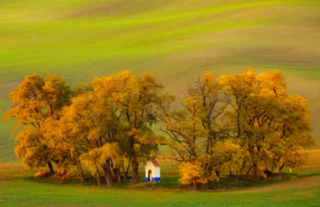 你的家乡可能入选了《全国乡村旅游扶贫示范案例选编》！