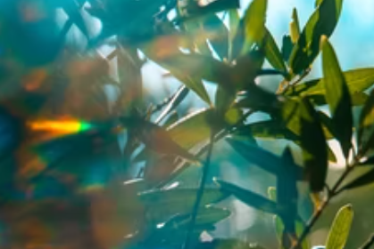 今年前三季度国内旅游情况怎么样？数据有了