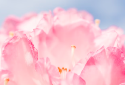 第一批国家级文明旅游示范单位评定结果公示！