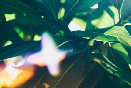 《“十四五”旅游业发展规划》八问？——“九鼎文旅”解读