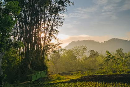 如何优化乡村休闲旅游业？这份规划提了要求