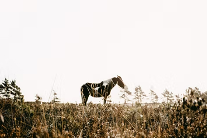 中共中央宣传部等3部门发文 全面加强历史文化遗产保护
