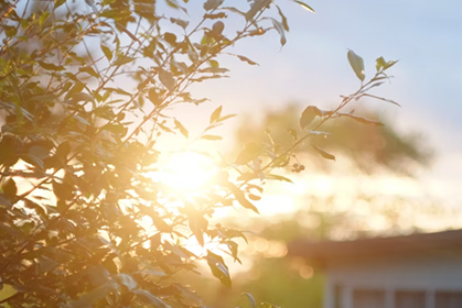 2022年中央一号文件发布！要点速读→