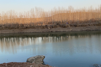 1646358899735043.jpg 2.jpg