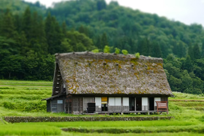 两部门：选择40个县开展传统村落集中连片保护利用示范