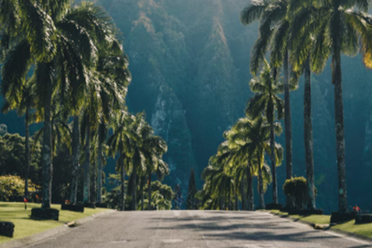 商务部等8部门：鼓励将老字号企业纳入旅游路线