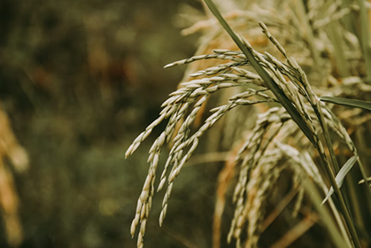 国家文物局关于公布《国家考古遗址公园管理办法》的通知