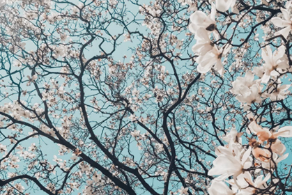 清明节假期，文化和旅游市场情况是这样的！