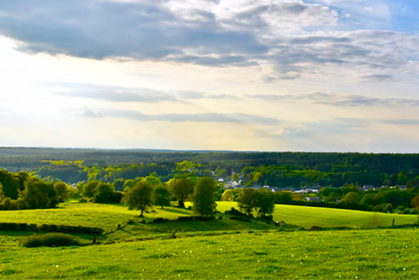 国家文物局、国家林业和草原局联合开展“红色草原”推介活动