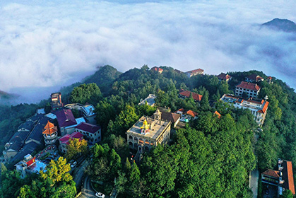 1653012554695273.jpg 3.jpg