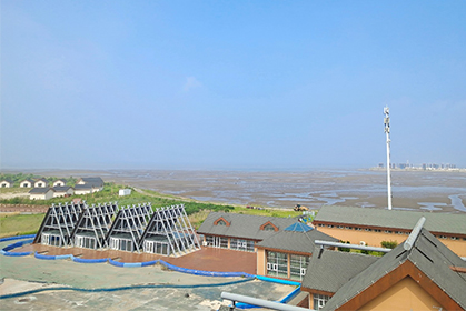 1660789006839383.jpg 1.jpg