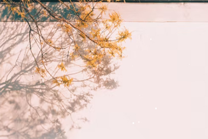 文旅部：实施“文化产业园区携行计划”