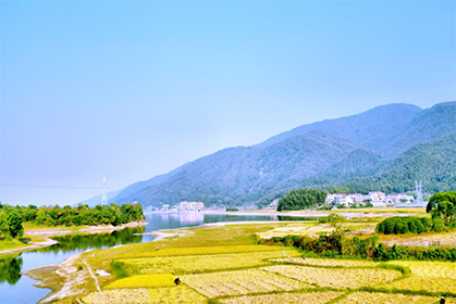 2022年国家乡村振兴示范县创建名单公示公告